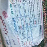 گلیم فرش اتاق کودک|گلیم، جاجیم، گبه|پاکدشت, پاکدشت (مامازند)|دیوار