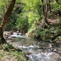 اجاره سالانه ویلا طبقه همکف