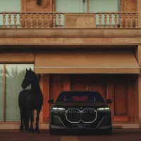 نظافت منزل اداره خرید و استحمام حیوانات خانگی