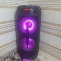 اسپیکر درحد خشک اصلی