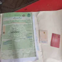 آپاچی گمشده مژدگانی دارد|اشیا|کازرون, |دیوار