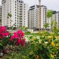 نیک-ترابر-فاز-2-و3-و4