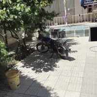 اجاره خونه خیابان مشهد شهیدقنبری