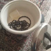 پلوپز توشیبا اصل|اجاق گاز و لوازم برقی پخت‌وپز|شیراز, ریاستی|دیوار