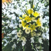 مداح و خواننده فارسی و بختیاری و قاری قرآن|خدمات پذیرایی، مراسم|اهواز, گلستان|دیوار