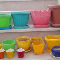 تعدادی گلدان|گل و گیاه طبیعی|شیروان (خراسان), |دیوار