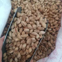 کار توی شرکت صادرات پسته سراغ دارید