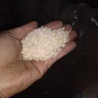برنج علی کاظمی