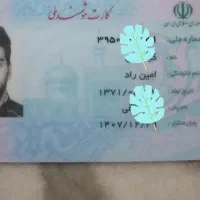 مفقودی کارت ملی وگواهی نامه