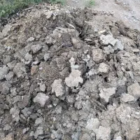 کود مرغی