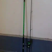 لنسر اردک ماهی|ماهیگیری|بندر انزلی, بشمن|دیوار