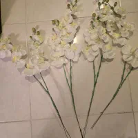 گل مصنوعی|گل مصنوعی|سنندج, |دیوار