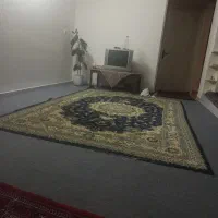 فرش 6متری|فرش|گرگان, |دیوار