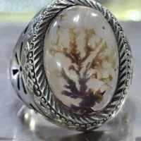 انواع شجر رکاب نقره به قیمت جمله بشرط کارشناس