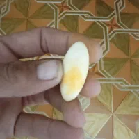 مهره|کلکسیون اشیاء عتیقه|جنگل, |دیوار