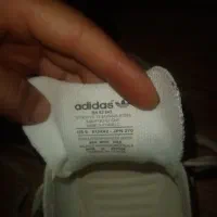 کتانی مدل ژاپنی|کیف، کفش، کمربند|کلارآباد, |دیوار