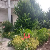 خدمات علف زنی بادستگاه علف زن در زیباکنار و رشت|خدمات باغبانی و درختکاری|رشت, گلسار|دیوار