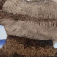 پوست شتر پادری