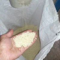 برنج هاشمی وکاظمی‌ ونیم دانه هاشمی وکاظمی