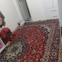 اجاره آپارتمان ۶۰ متری ۱ خوابه طبقه ۱ در مهدی آباد|اجارهٔ آپارتمان|مشهد, مهدی آباد|دیوار