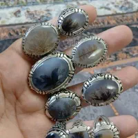 شجر تک درخت وبی نظیر