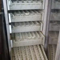 دستگاه جوجه کشی