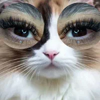 آموزش و خدمات صفرتاصد اکستنشن مژه|خدمات آرایشگری و زیبایی|هشتگرد, شهرک بعثت|دیوار