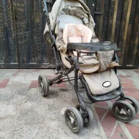 کالاسکه بزرگ وسالم