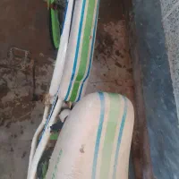 دوچرخه سایز۱۶|دوچرخه، اسکیت، اسکوتر|شوشتر, |دیوار