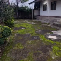 ویلایی-طالش-محله