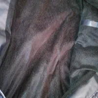 کاپشن چرم اصل|لباس|شیراز, دشت چنار|دیوار