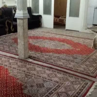 اسکان-روزانه
