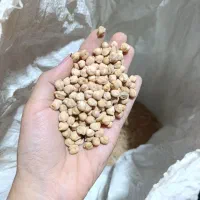 نخود ۵۰ کیلو