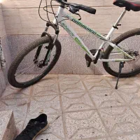 دوچرخه دماوند|دوچرخه، اسکیت، اسکوتر|تربت‌حیدریه, ۴۵ متری|دیوار