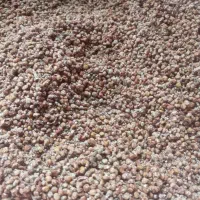 سماق تازه جاده چالوس