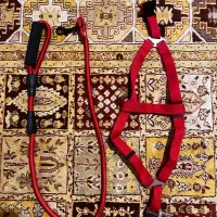 قلاده
