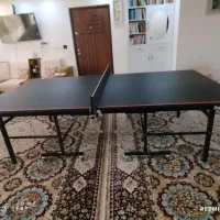 میز پینگ پنگ