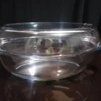 پیرکس بورکام ترک اصل