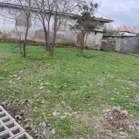 چندتا زمین با ۳ کنتور و... گوراب زرمیخ مبین بالو|فروش زمین و ملک کلنگی|گوراب زرمیخ, |دیوار