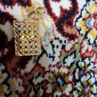 یه عدد گوشواره گم شده