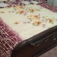 سرویس کامل تخت و دراور و پاتختی|تخت و سرویس خواب|مشهد, تربیت (صدف)|دیوار
