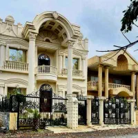 غول-مرحله-آخریعنی-این-نماکلاسیک-times-سنددار-ویوجنگل