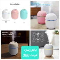 گرون نخر به قمیت بخر بدون واسطه|حراج|رشت, پاستوریزه|دیوار
