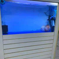 اکواریوم یک متری مجهز|ماهی|خرمآباد, |دیوار