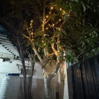 اجاره سویت  کوتاه مدت|اجارهٔ کوتاه‌مدت آپارتمان و سوئیت|کرج, آق تپه|دیوار