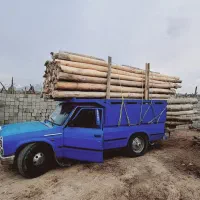 خریداره تنه گرده بینه چوب مزایده ای تیر آغاج