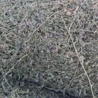 یونجه ۳۲۰۰۰۰۰ت|خدمات باغبانی و درختکاری|مشگین شهر, |دیوار