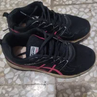 کفش|کیف، کفش، کمربند|قم, زند آباد|دیوار