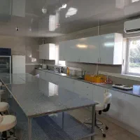 استخدام نیروی خدماتی