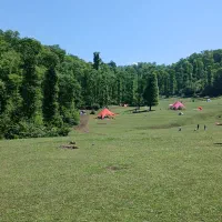 300-هزار-متر-زمین-باغی-سندار-در-چوبر-شفت